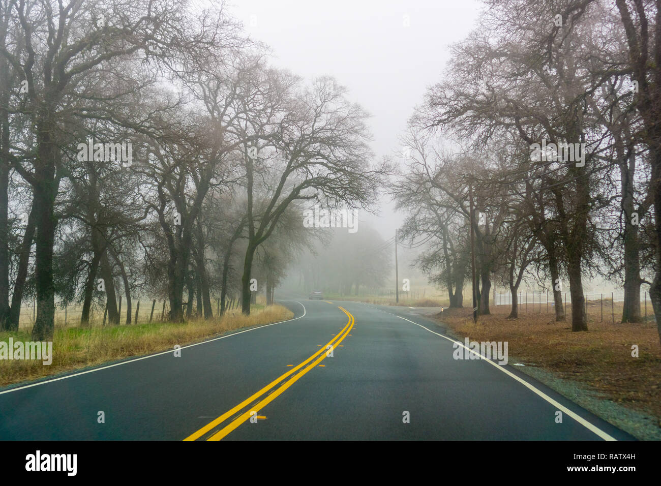 Fahren auf einen Tag mit dichtem Nebel und schlechter Sicht, Kalifornien Stockfoto