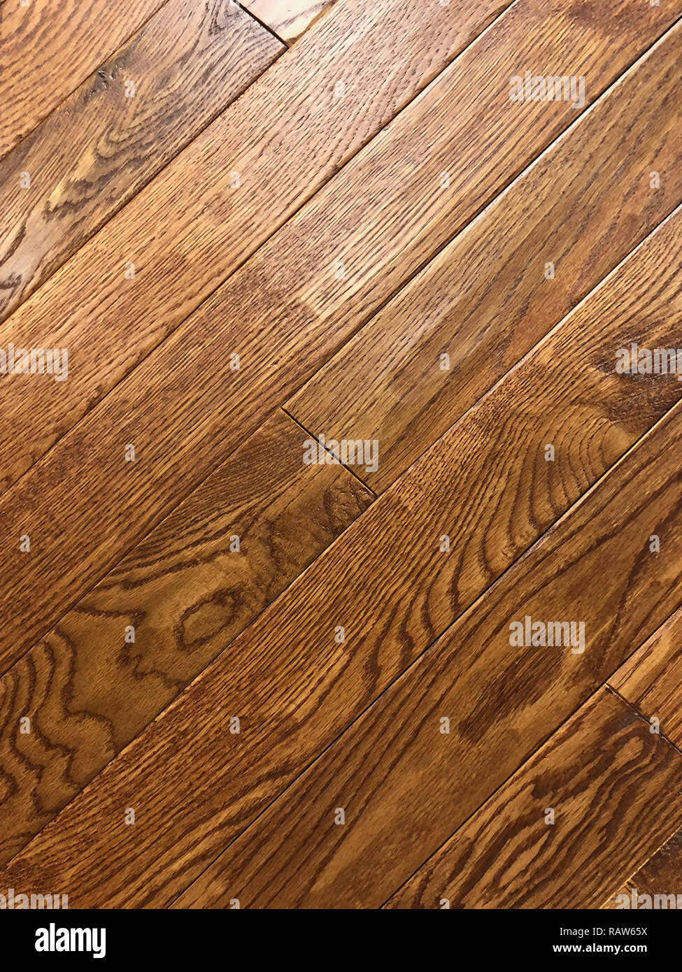 Holzboden aus natürlichem Ahornholz Stockfoto