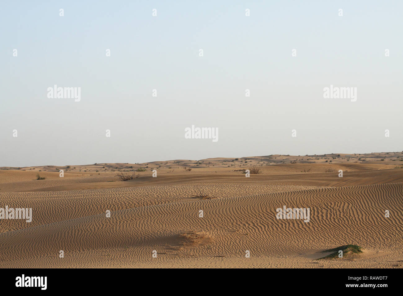 Am frühen Abend in der Wüste. Sanddünen Stockfoto