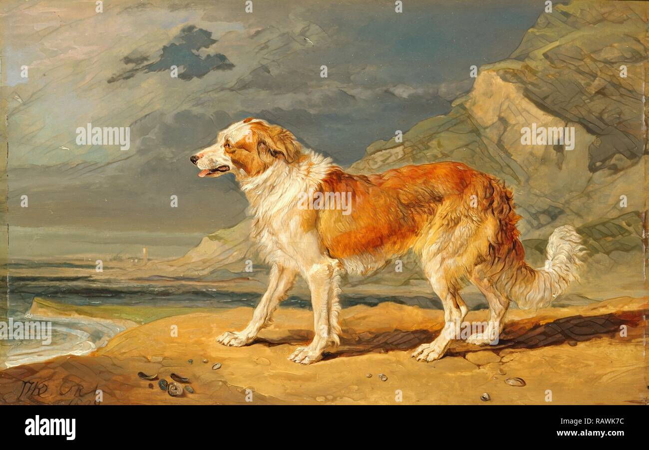 Rough-Coated Collie in Braun Lack unterzeichnet, unten links: "J WARD [Monogramm]. ARA', James Ward, 1769-1859, Britisch neuerfundene Stockfoto