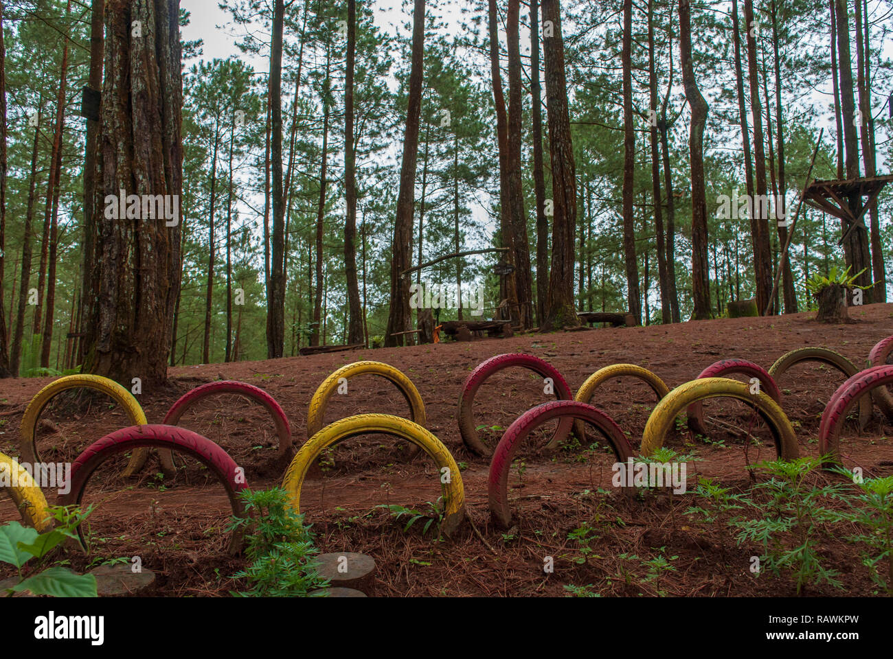 Wanderweg im Park mit gebrauchten Reifen Dekoration Stockfoto