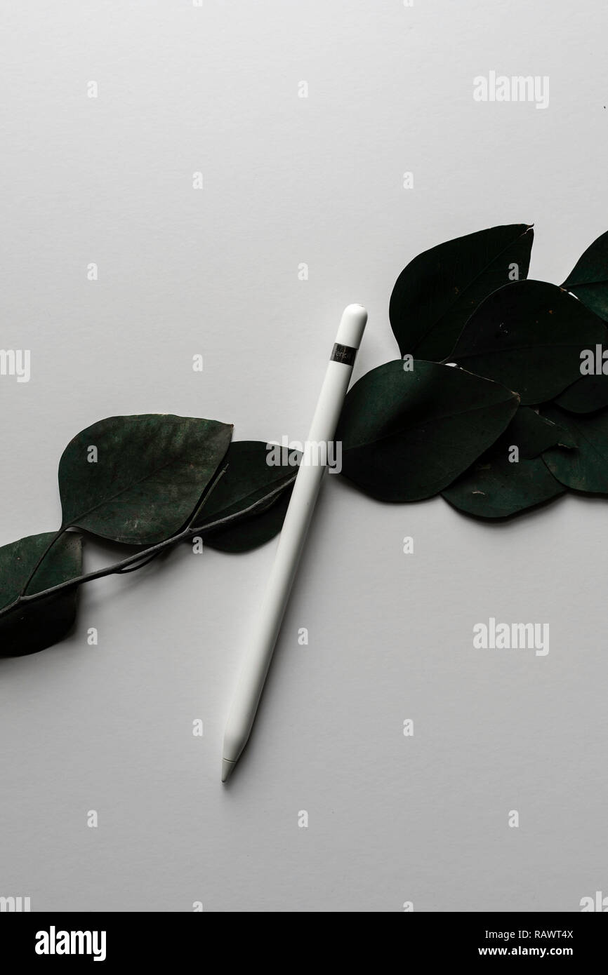 Weiß/Silber digitaler Stift/Stift Smart Tool isoliert weißer Hintergrund 2015 Stockfoto