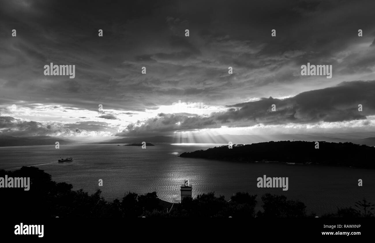 Ein Blick auf die Spitze des Mt Victoria in Wellington in Neuseeland Stockfoto
