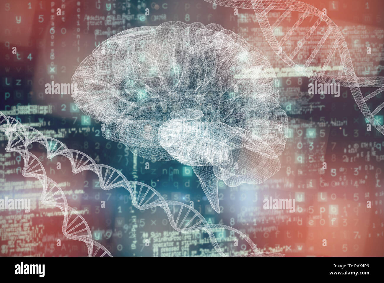 Das zusammengesetzte Bild im 3D-Bild des menschlichen Gehirns Stockfoto