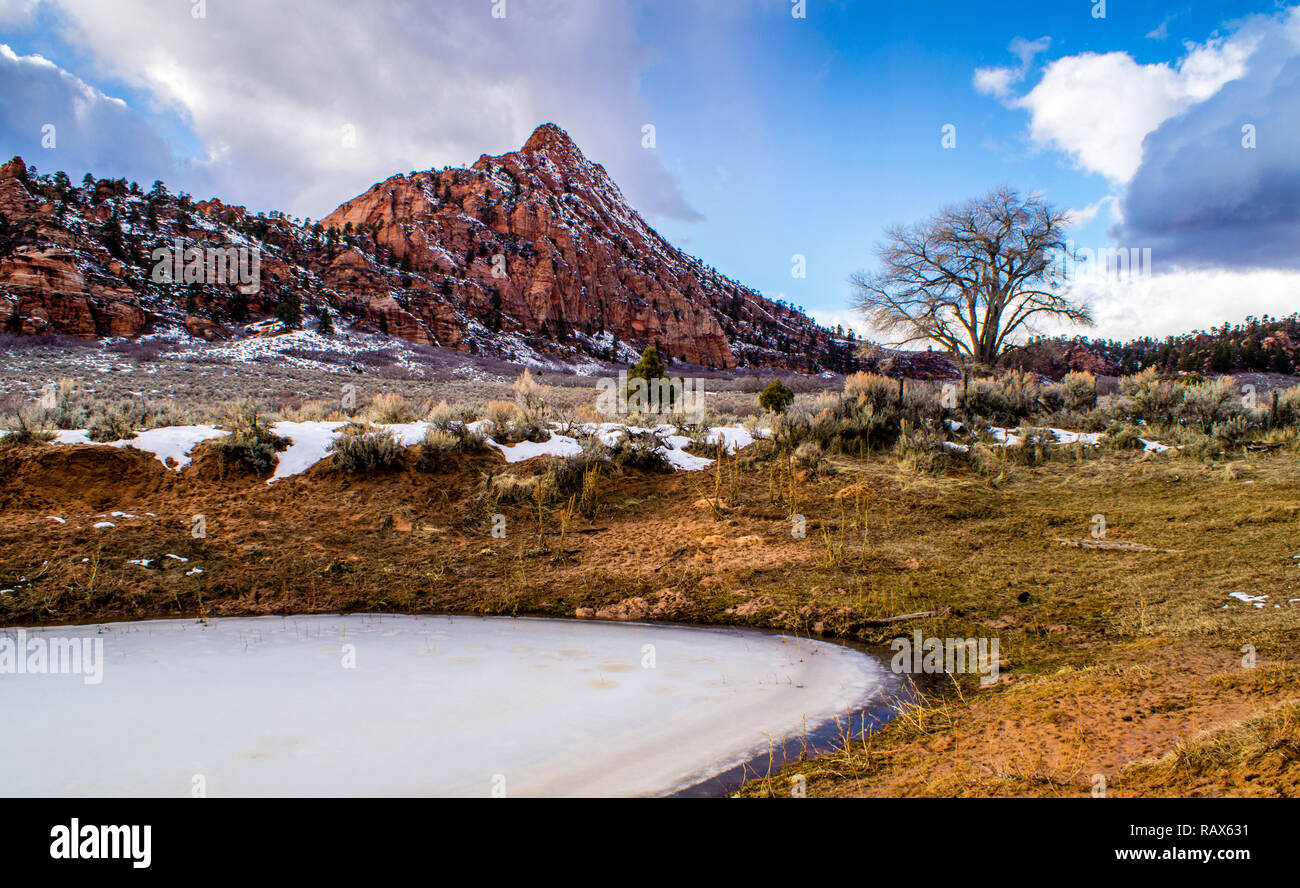 Tiefgefrorener Teich in der Nähe des Berges in der südlichen Utah-Wüste (Zion) Stockfoto