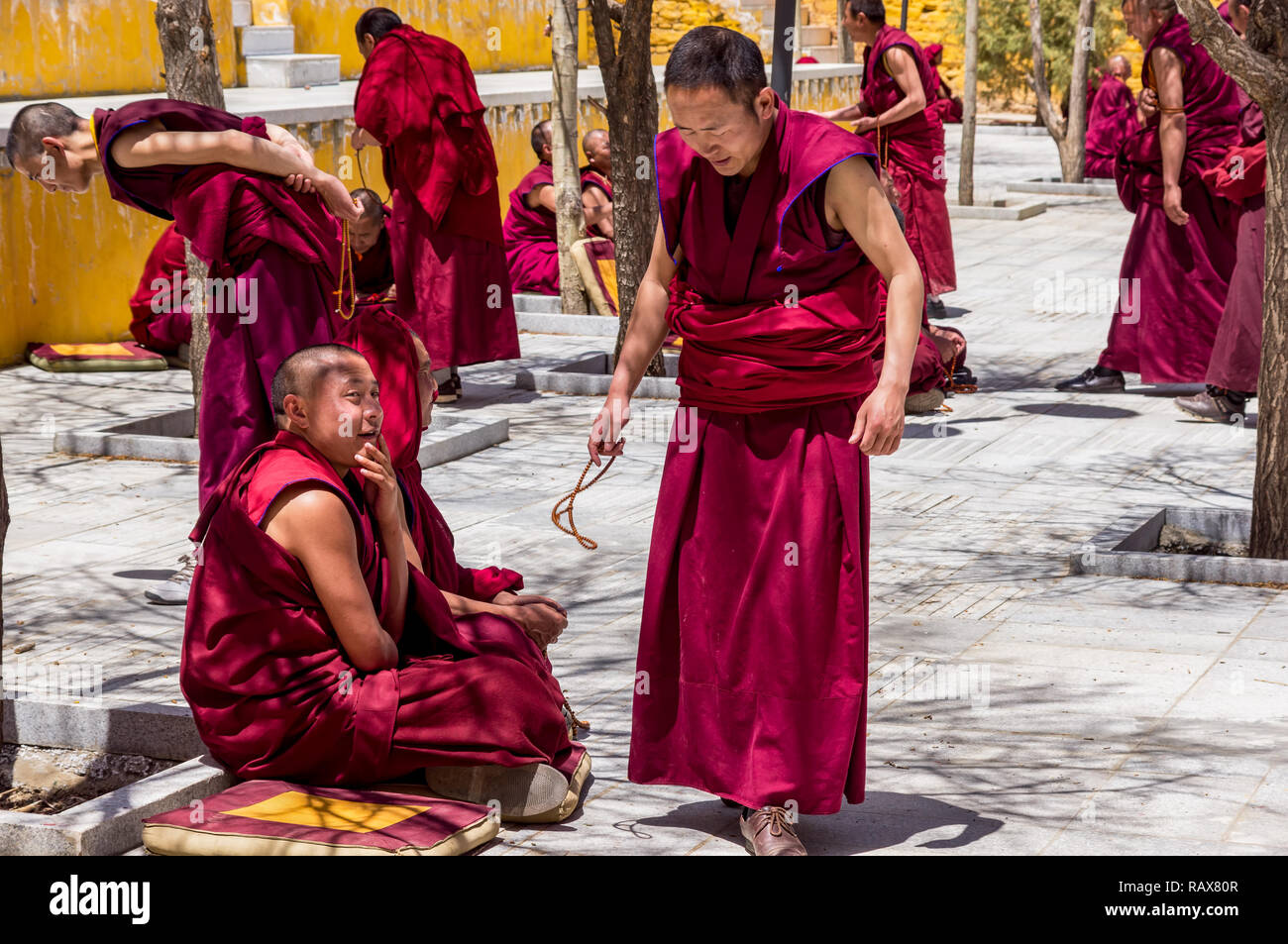 Mönche Debatte im Kloster Sera-Tibet Stockfoto