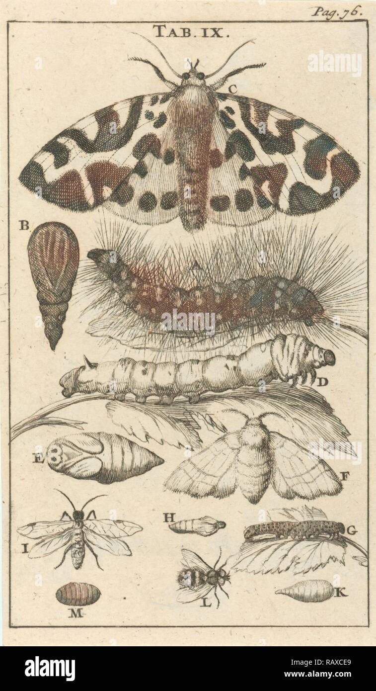 Drucken, Drucker Teekocher: Jan Luyken, Dating 1680. Neuerfundene durch Gibon. Klassische Kunst mit einem modernen Touch neuerfundene Stockfoto