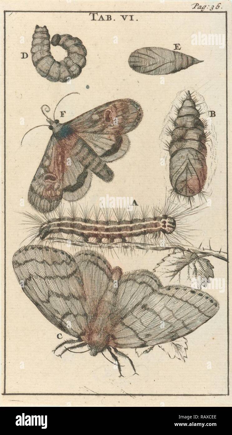 Drucken, Drucker Teekocher: Jan Luyken, Dating 1680. Neuerfundene durch Gibon. Klassische Kunst mit einem modernen Touch neuerfundene Stockfoto