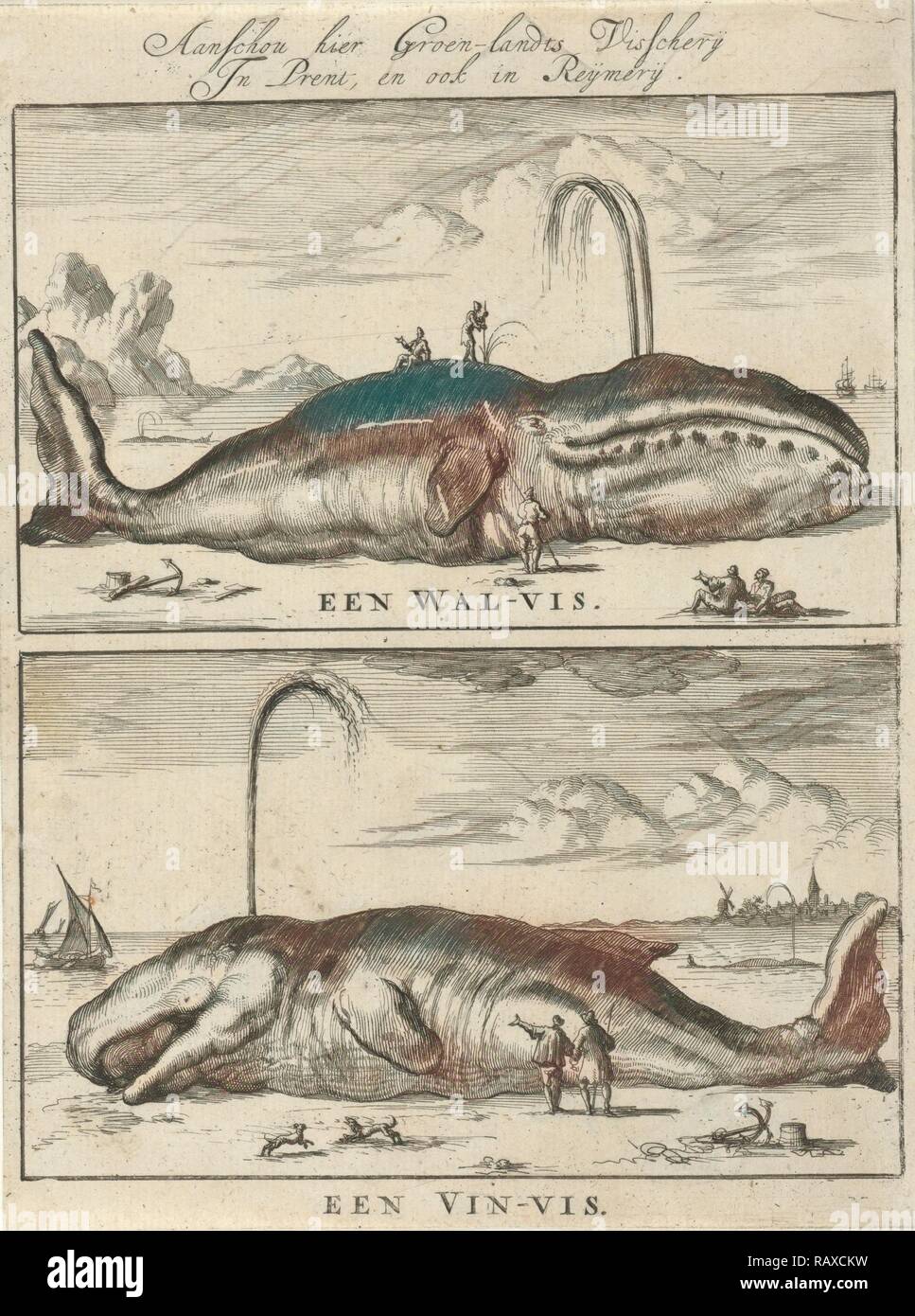 Wal, Jan Luyken, 1684. Neuerfundene durch Gibon. Klassische Kunst mit einem modernen Touch neuerfundene Stockfoto