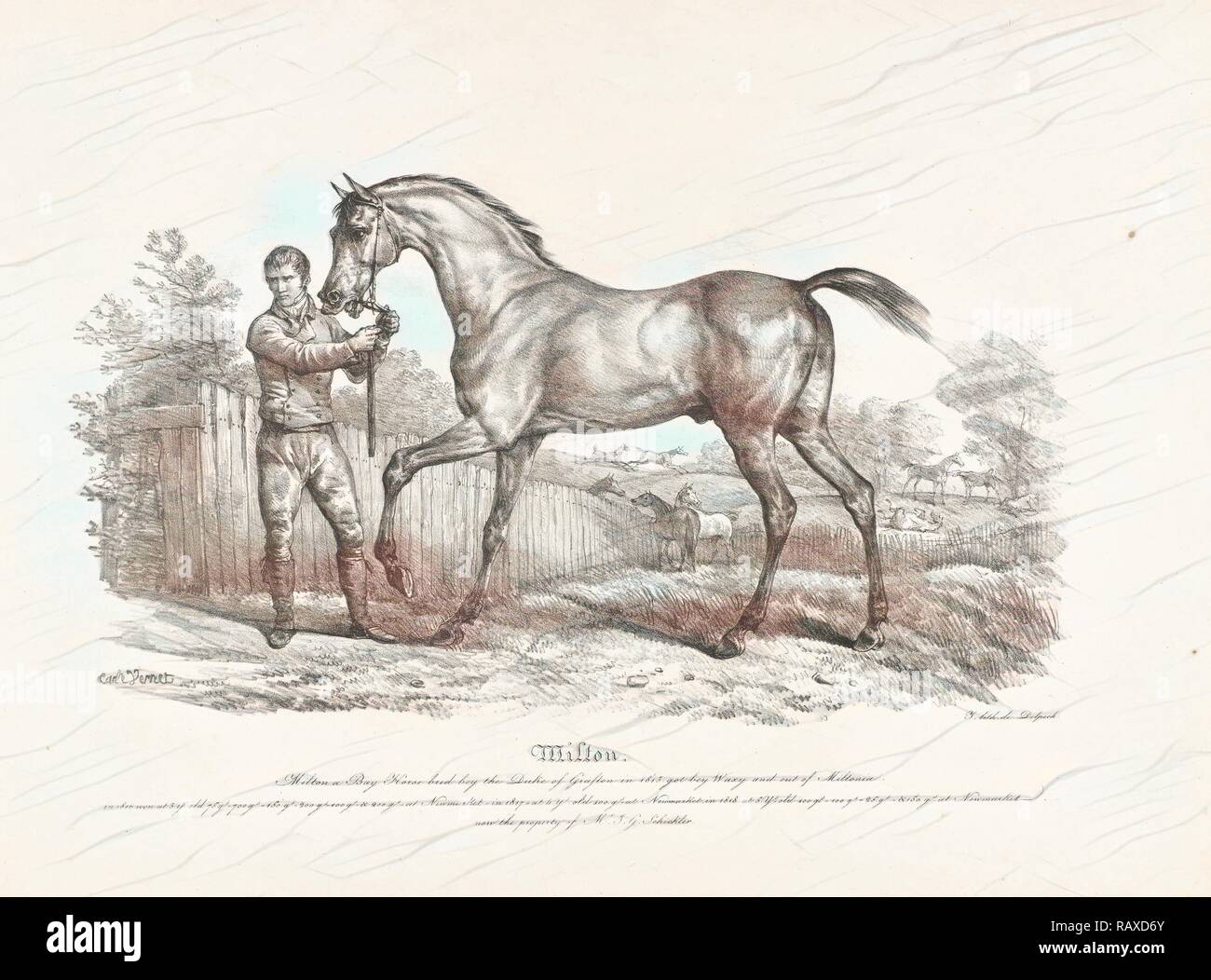 Pferd, Ali, cheval arabe Envoye par le Sultan de Muscat ein Herr Le Baron de Capellen... Gouverneur General des Grandes neuerfundene Stockfoto