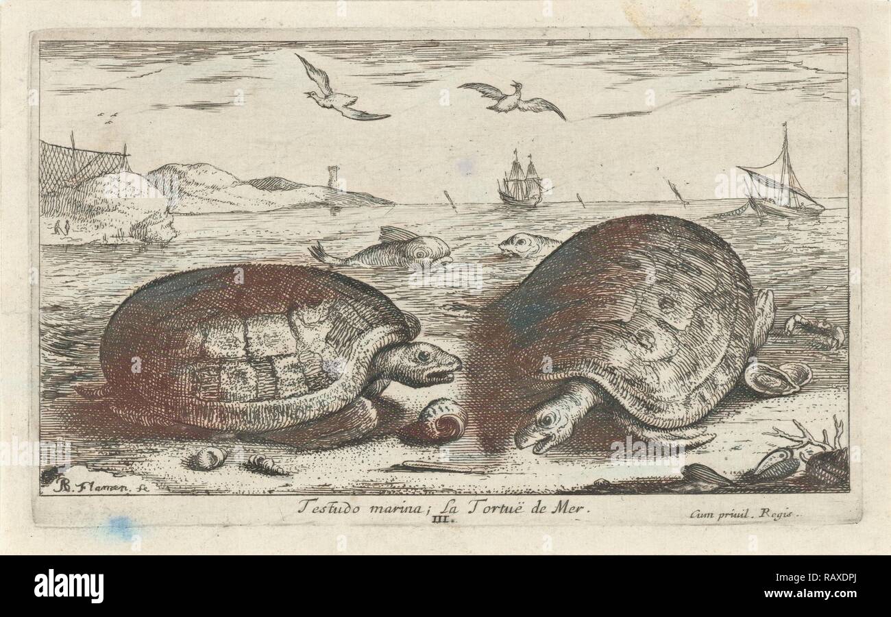 Zwei Schildkröten am Strand, Albert Flamen, 1664. Neuerfundene durch Gibon. Klassische Kunst mit einem modernen Touch neuerfundene Stockfoto