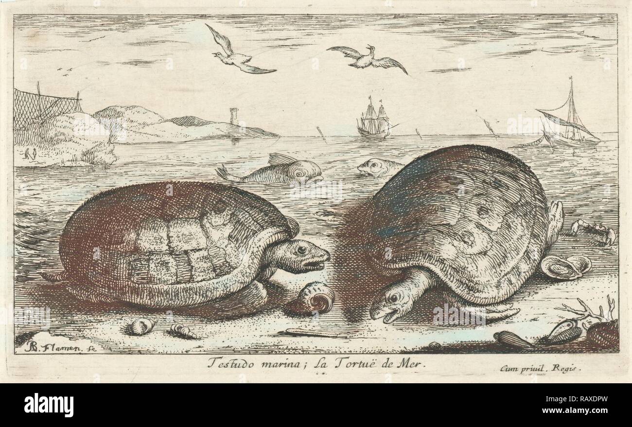 Zwei Schildkröten am Strand, Albert Flamen, 1664. Neuerfundene durch Gibon. Klassische Kunst mit einem modernen Touch neuerfundene Stockfoto