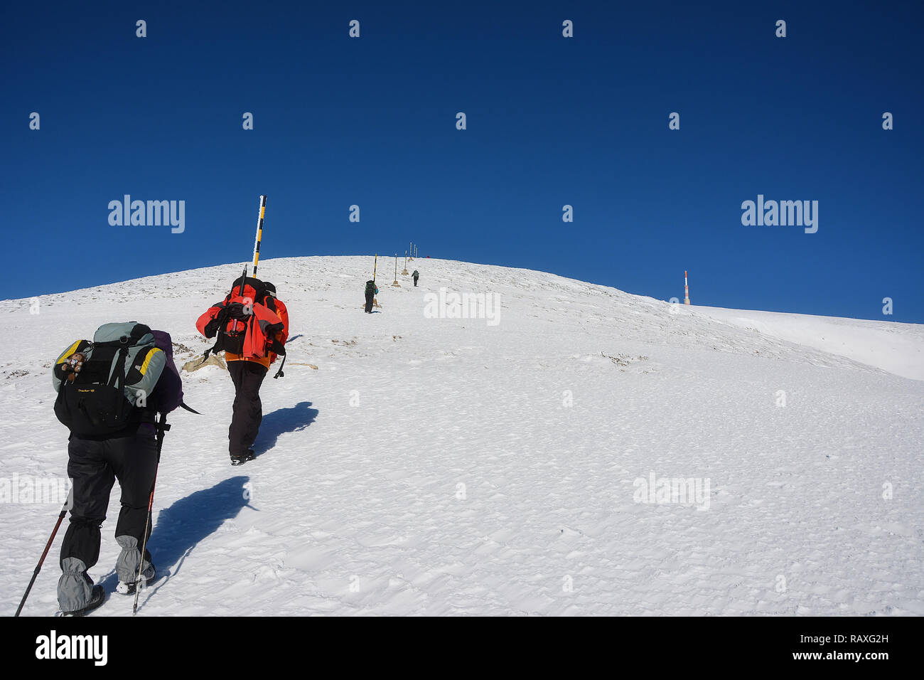 Winter Trekking auf dem Schnee, Botev peak - Höchste in alten Berg, Bulgarien Stockfoto