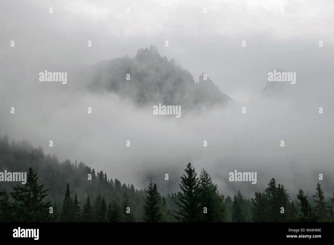 Felsiger Gebirgszug mit Wolken und Tannen im Vordergrund Stockfoto