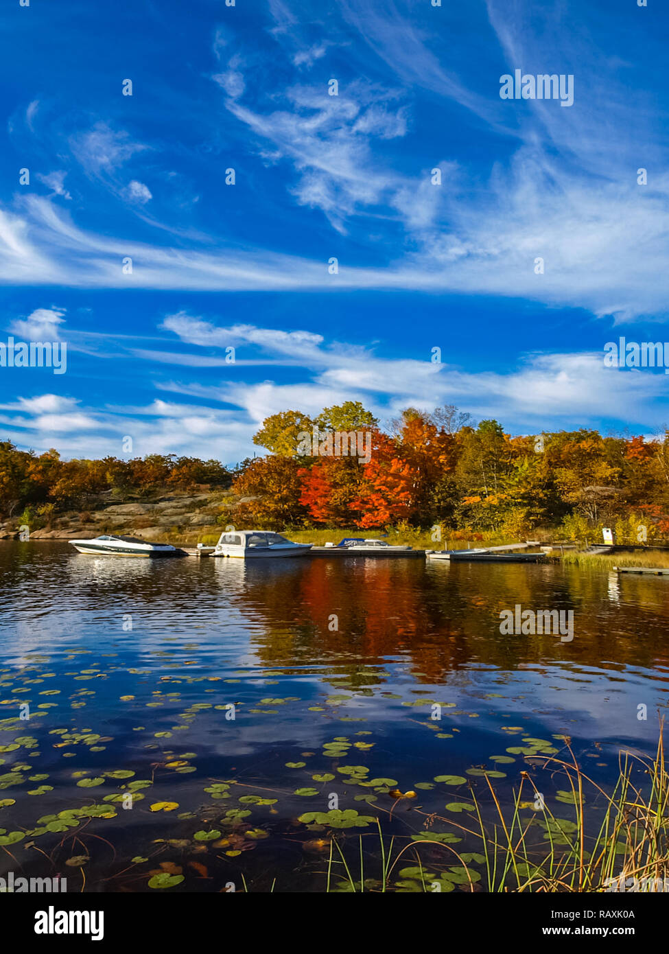 Herbst am Ufer des Lake Huron, eine wunderschöne Herbstlandschaft. Stockfoto