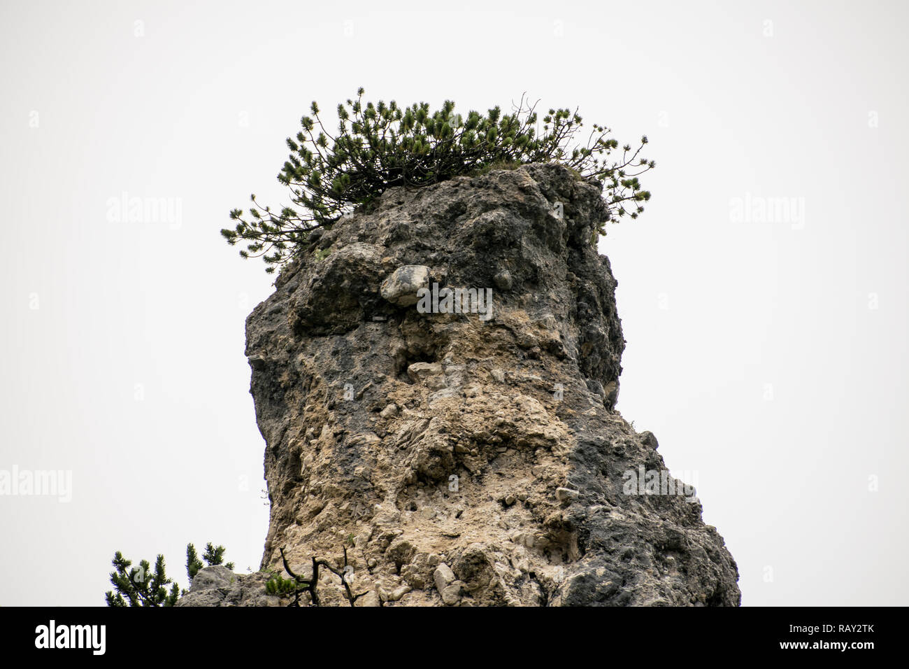 Big Rock, der wie ein menschliches Gesicht aussieht Stockfoto