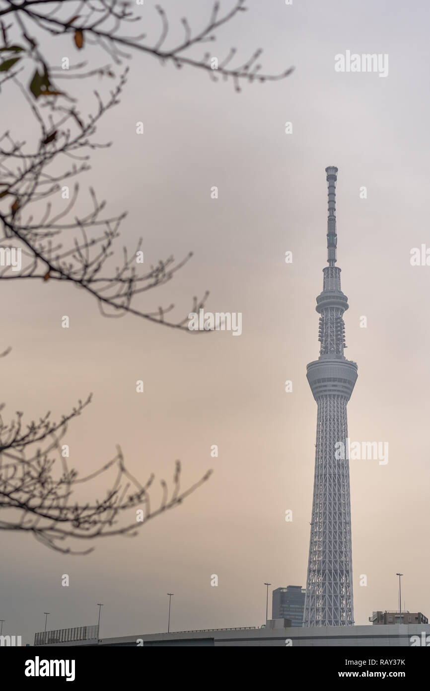 TOKYO, Japan - 19. November 2018: Tokyo Tsukuda Skytree Blick vom Park in Tokio. Stockfoto