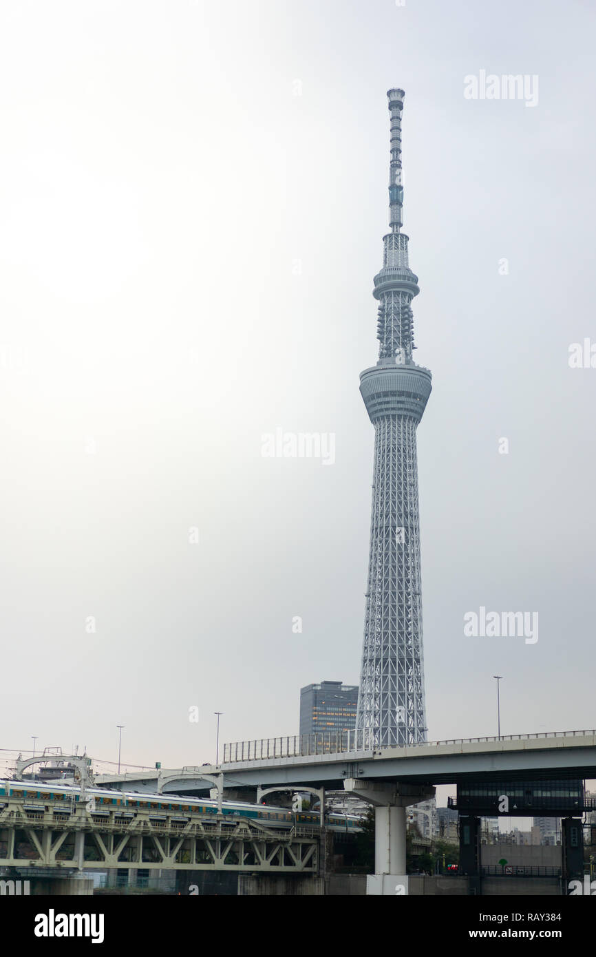 TOKYO, Japan - 19. November 2018: Tokyo Skytree mit Tobu Linie Zug Blick von Tsukuda Park in Tokio. Stockfoto