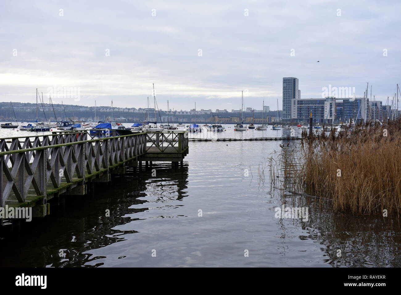 Blick von Cardiff Bay Feuchtgebiete finden über Cardiff Bay in Penarth Stockfoto