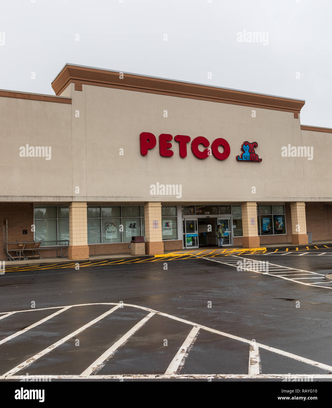 HICKORY, NC, USA-1/3/19: Petco ist ein US-Kette Einzelhändler der Tiernahrung, Zubehör und Dienstleistungen. Stockfoto