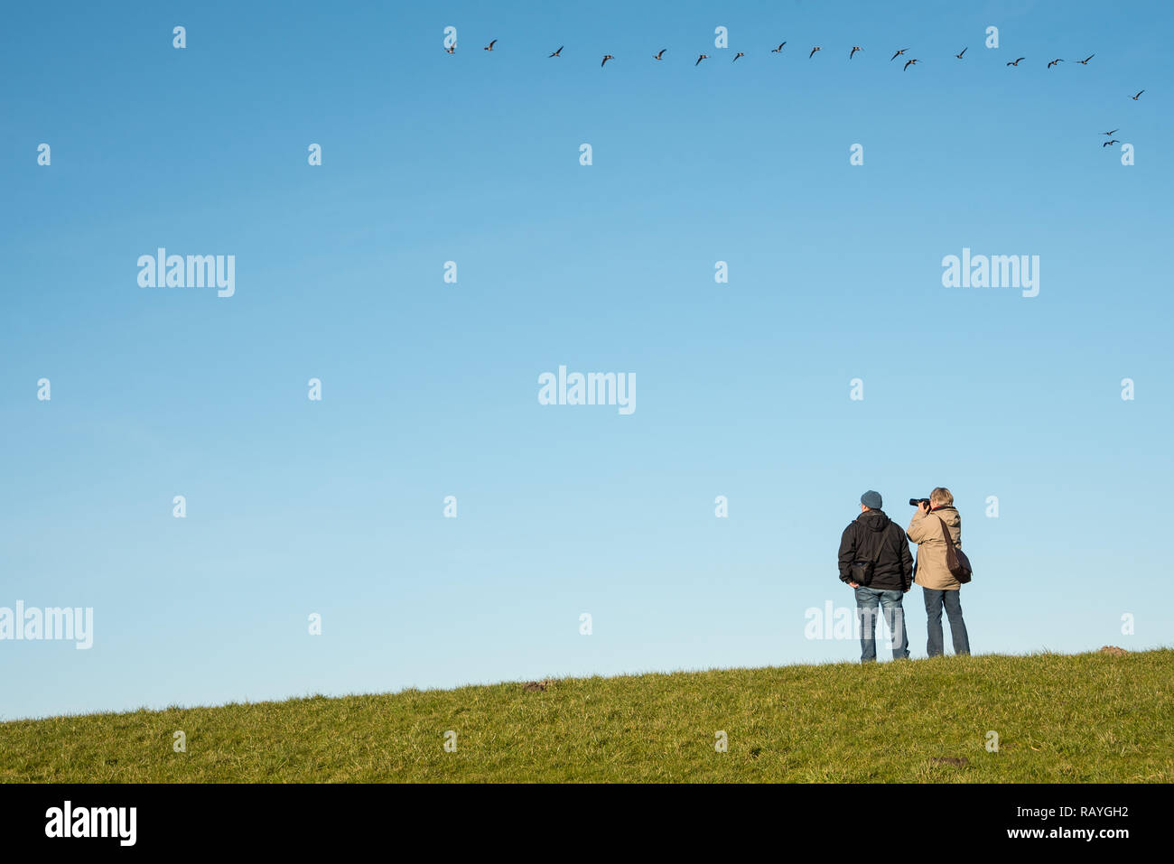 Mann eine Frau, die auf dem Deich steht und Vögel in blauem Himmel fliegen Stockfoto