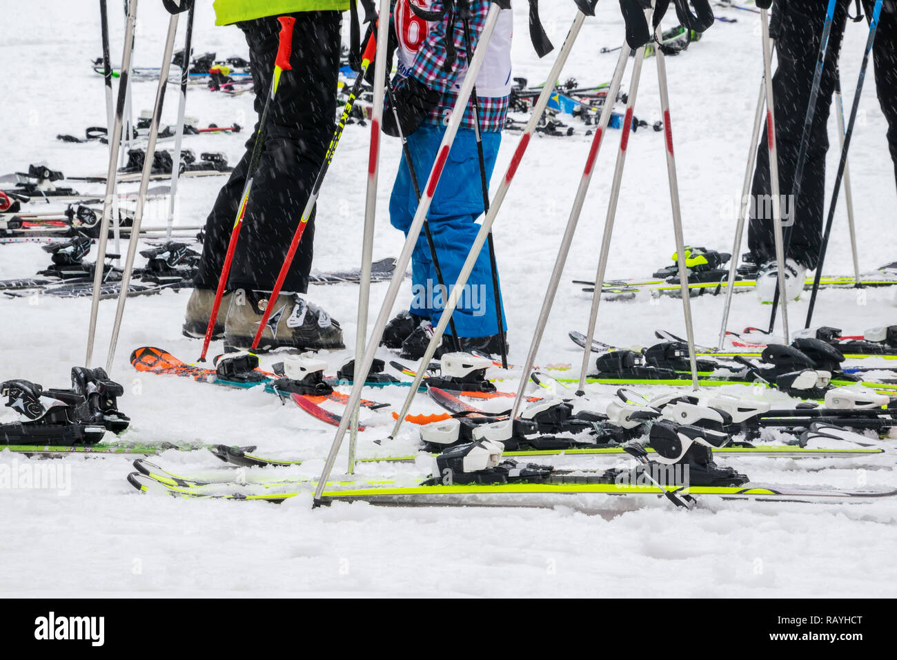 Viele Skistöcke und Ski mit einigen Beinen auf Schnee Stockfoto