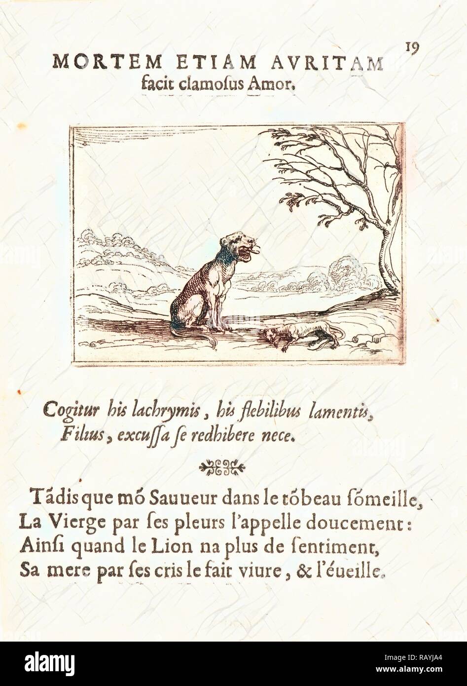Jacques Callot Franzosisch 1592 1635 La Lionne Appelant Sohn Lionceau Aus Dem 17 Jahrhundert Aus Dem Leben Der Jungfrau Maria In Neuerfundene Stockfotografie Alamy Jacques Callot Franzosisch 1592 1635 La Lionne Appelant Sohn Lionceau Aus Dem 17 Jahrhundert Aus Dem Leben Der Jungfrau Maria In Neuerfundene Stockfotografie Alamy