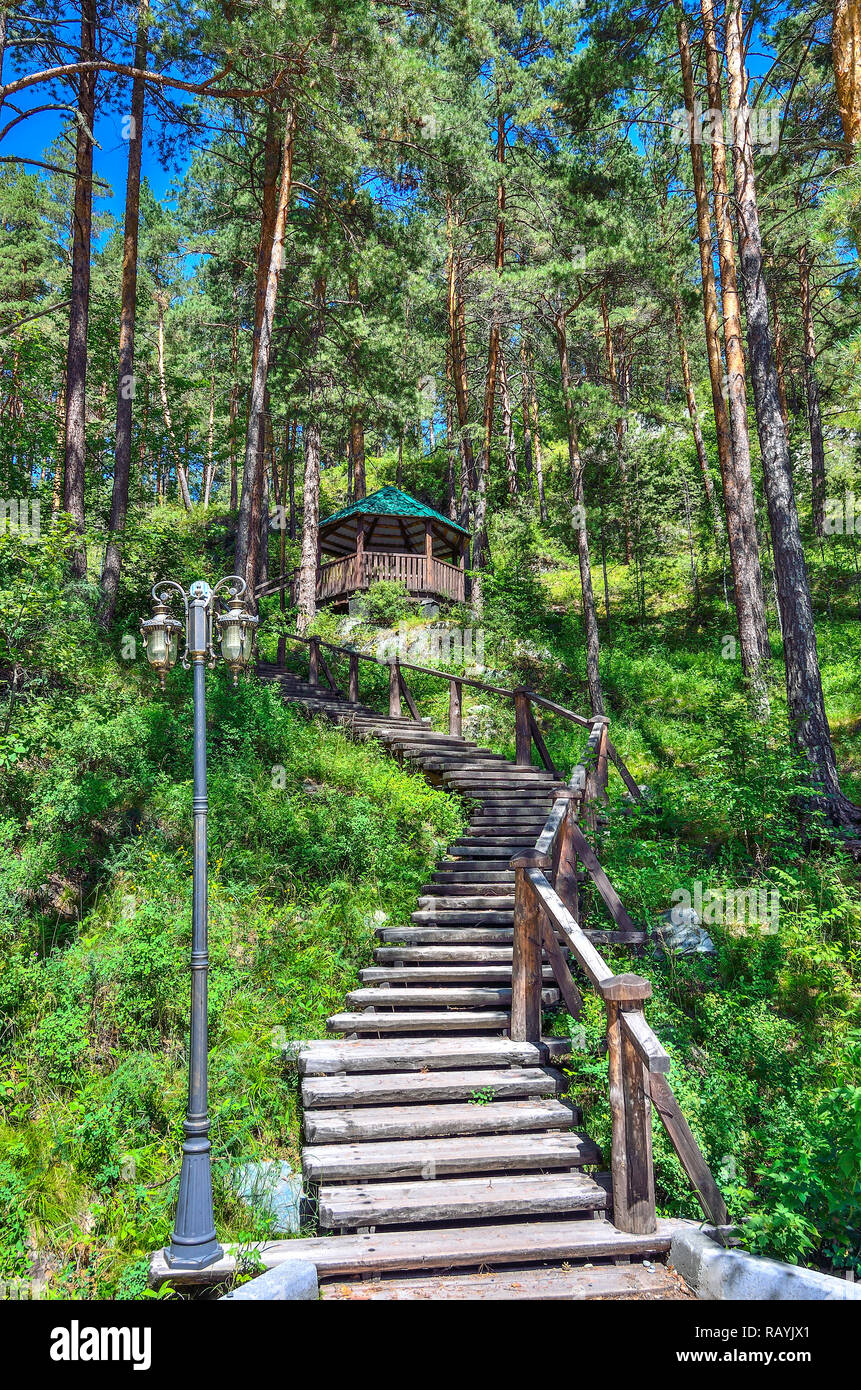 Wanderweg der Gesundheit mit hölzernen Treppe, die zu dem Hügel und Arbor. Сlean gesunde Luft der Kiefern Grove gesättigt mit Ozon. Pinienwald in Einem Stockfoto