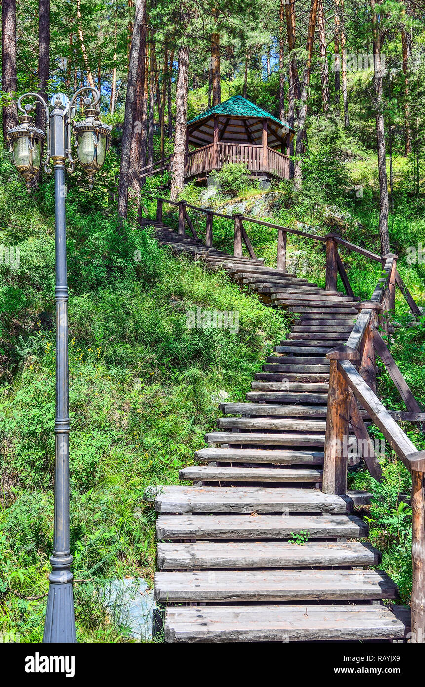 Wanderweg der Gesundheit mit hölzernen Treppe, die zu dem Hügel und Arbor. Сlean gesunde Luft der Kiefern Grove gesättigt mit Ozon. Pinienwald in Einem Stockfoto