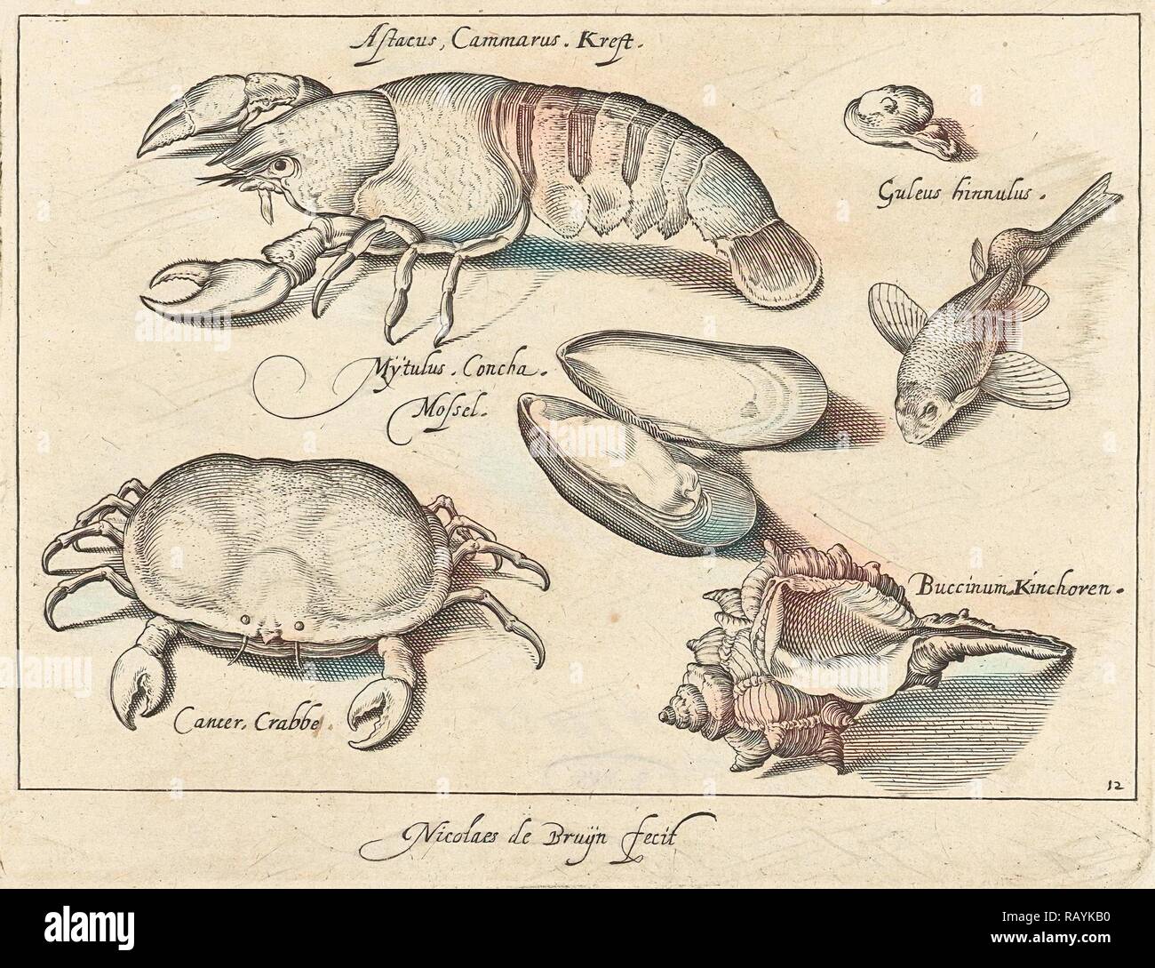Hummer, Krabben und Muscheln, drucken Teekocher: Nicolaes de Bruyn, Francoys van Beusekom, 1581 - 1656. Neuerfundene Stockfoto