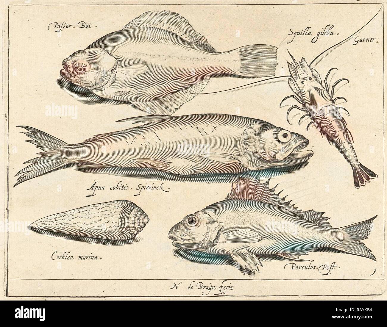 Garnelen und Aal, Nicolaes de Bruyn, 1581 - 1656. Neuerfundene durch Gibon. Klassische Kunst mit einem modernen Touch neuerfundene Stockfoto