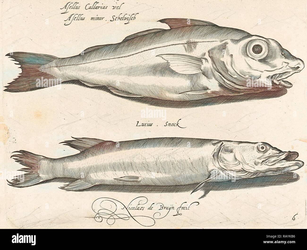 Schellfisch und Hecht, Nicolaes de Bruyn, 1581 - 1656. Neuerfundene durch Gibon. Klassische Kunst mit einem modernen Touch neuerfundene Stockfoto