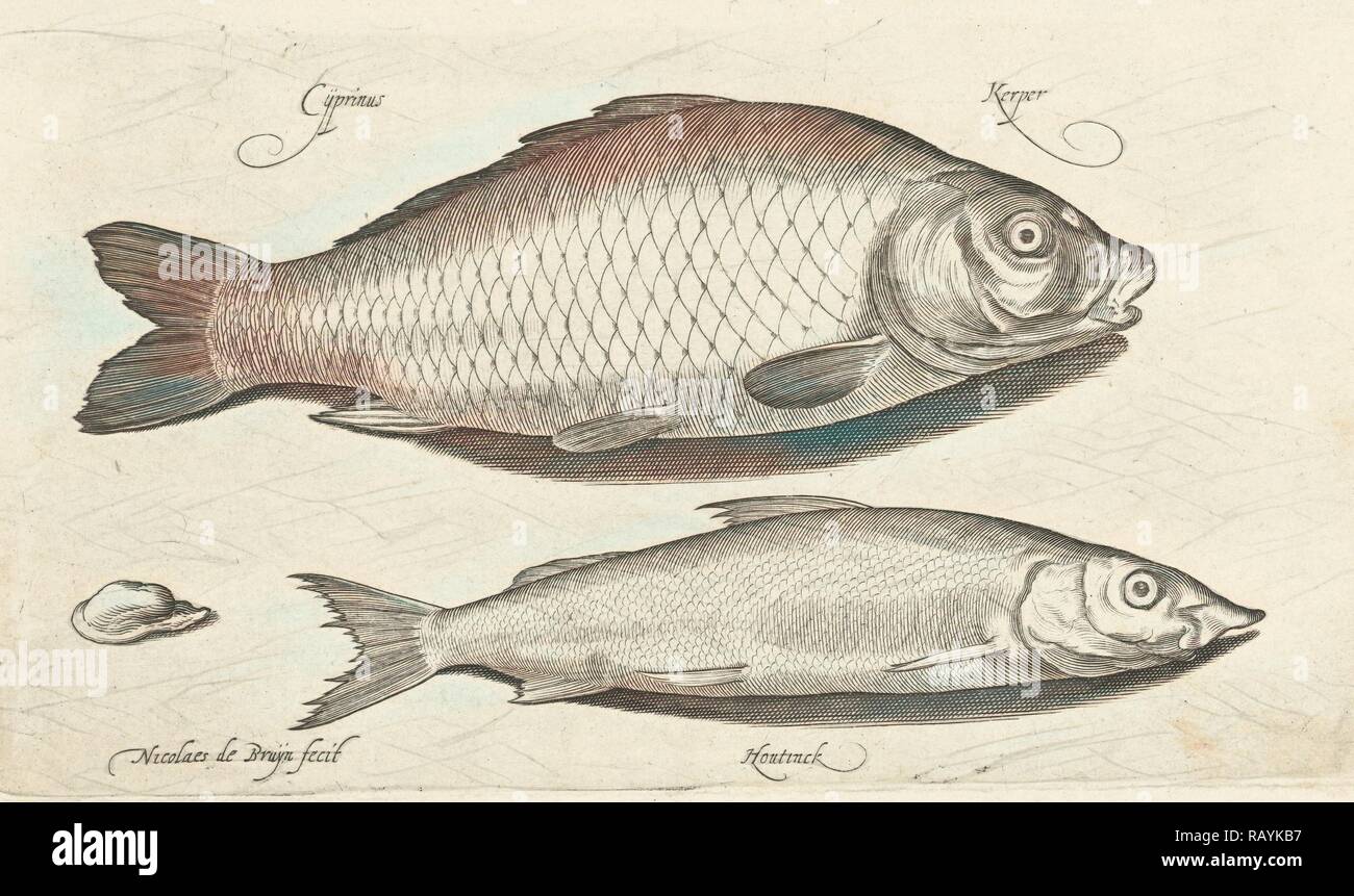 Karpfen und Weißfische, Nicolaes de Bruyn, 1581-1656. Neuerfundene durch Gibon. Klassische Kunst mit einem modernen Touch neuerfundene Stockfoto