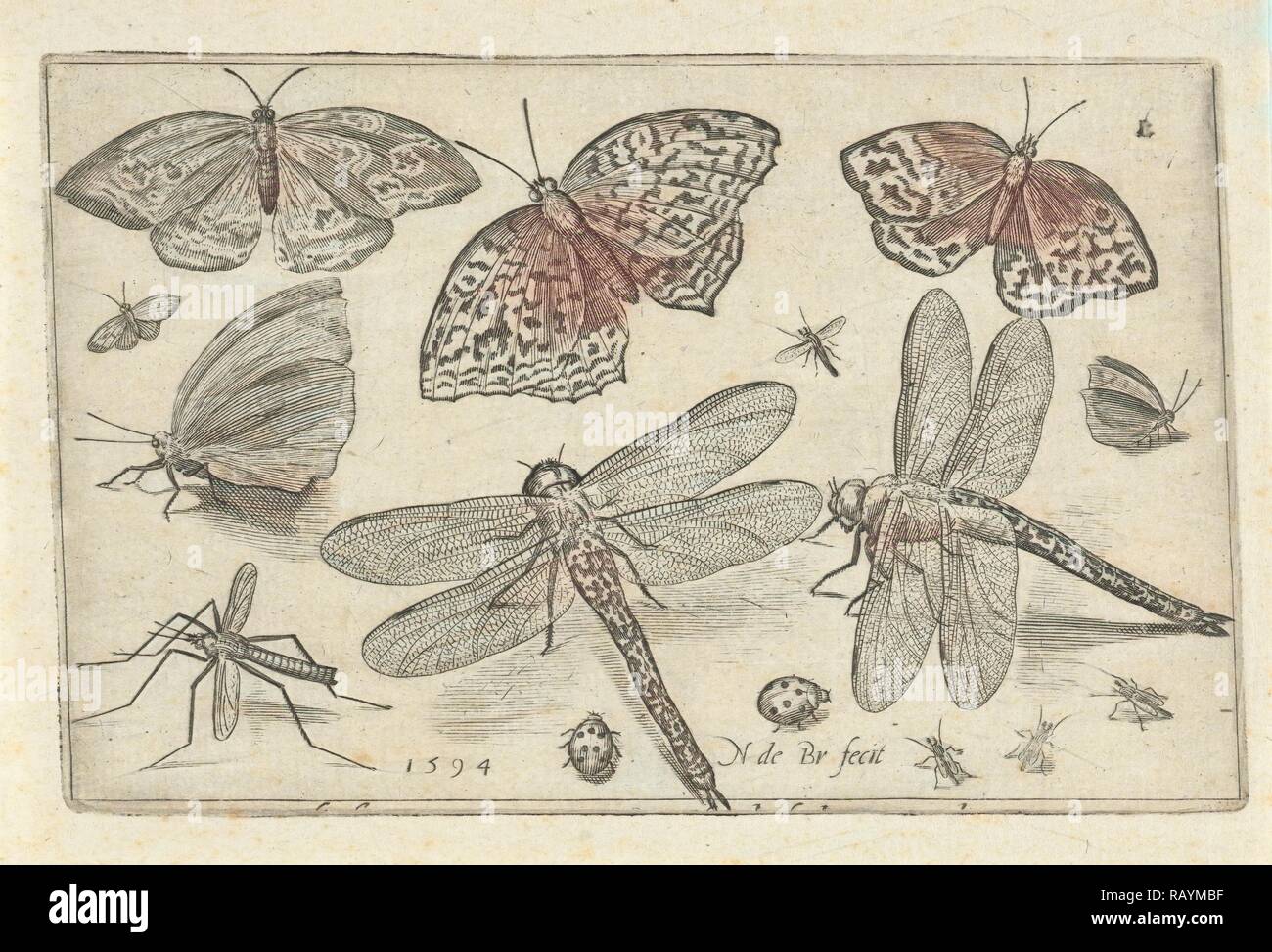 Schmetterlinge und Libellen, Nicolaes de Bruyn, 1594. Neuerfundene durch Gibon. Klassische Kunst mit einem modernen Touch neuerfundene Stockfoto