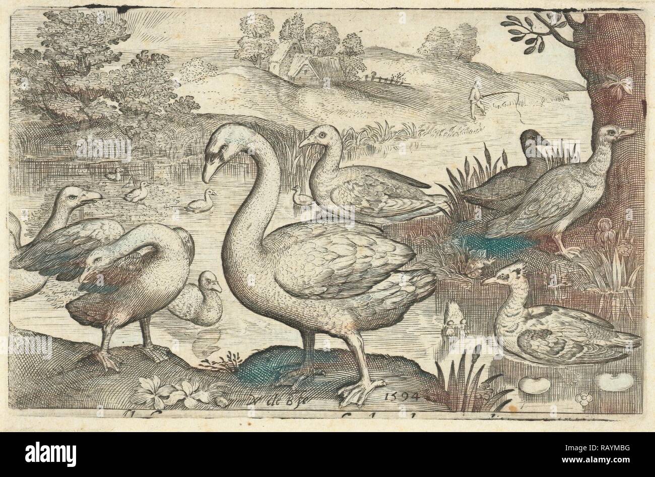Schwan und Gänse und Enten in der Nähe des Wassers, drucken Teekocher: Nicolaes de Bruyn, Nicolaes de Bruyn, Francoys van Beusekom neuerfundene Stockfoto