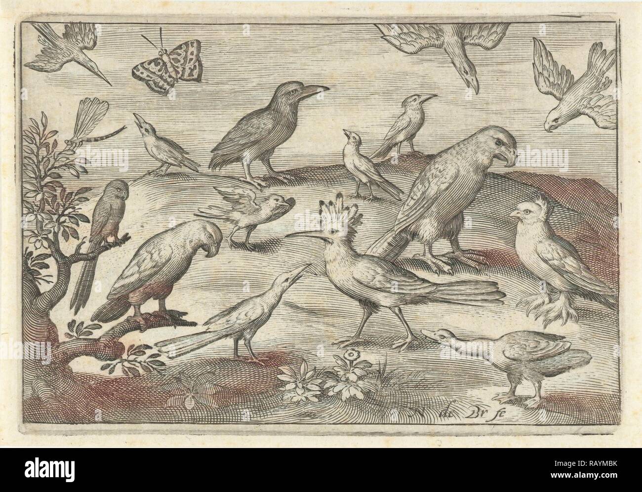 Hop und andere Vögel, Nicolaes de Bruyn, 1594. Neuerfundene durch Gibon. Klassische Kunst mit einem modernen Touch neuerfundene Stockfoto