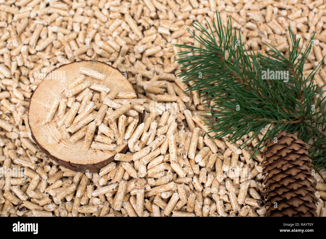 Kiefer Slice, Zweig, und conch auf Holz- pellets - Biomasse Stockfoto