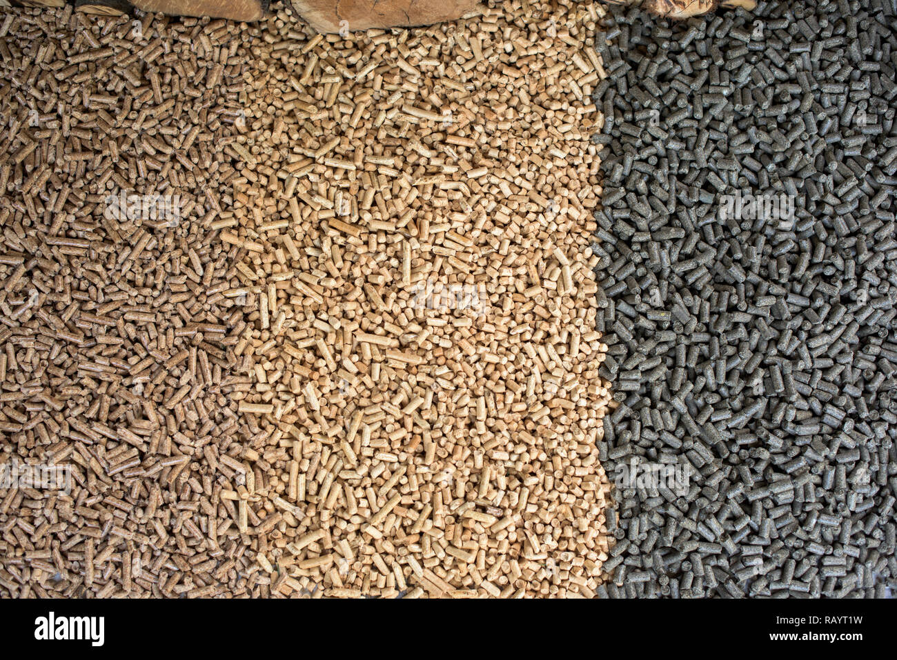 Drei verschiedene Arten von Holz- Pellets - Kiefer, Eiche, Sunflower pellets Stockfoto