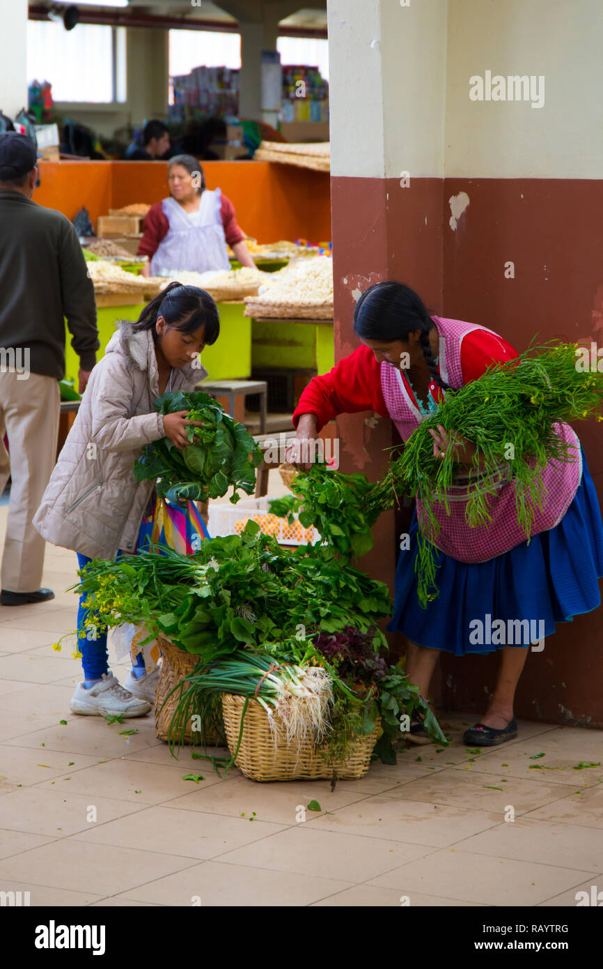 Ecuador, Cuenca, Nov. 2018 - Frau Gemüse Auswahl von lokalen Inhaber Abschaltdruck am Cuenca Gemüsemarkt kaufen Stockfoto