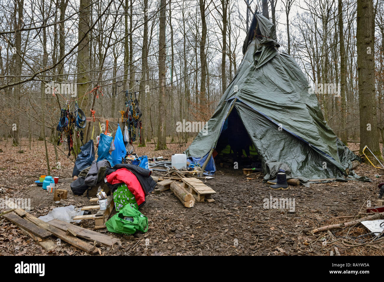 Lager der Umweltaktivisten im Hambacher Forst, einem alten Wald, der ein beliebtes Symbol im Kampf gegen die globale Erwärmung. Stockfoto