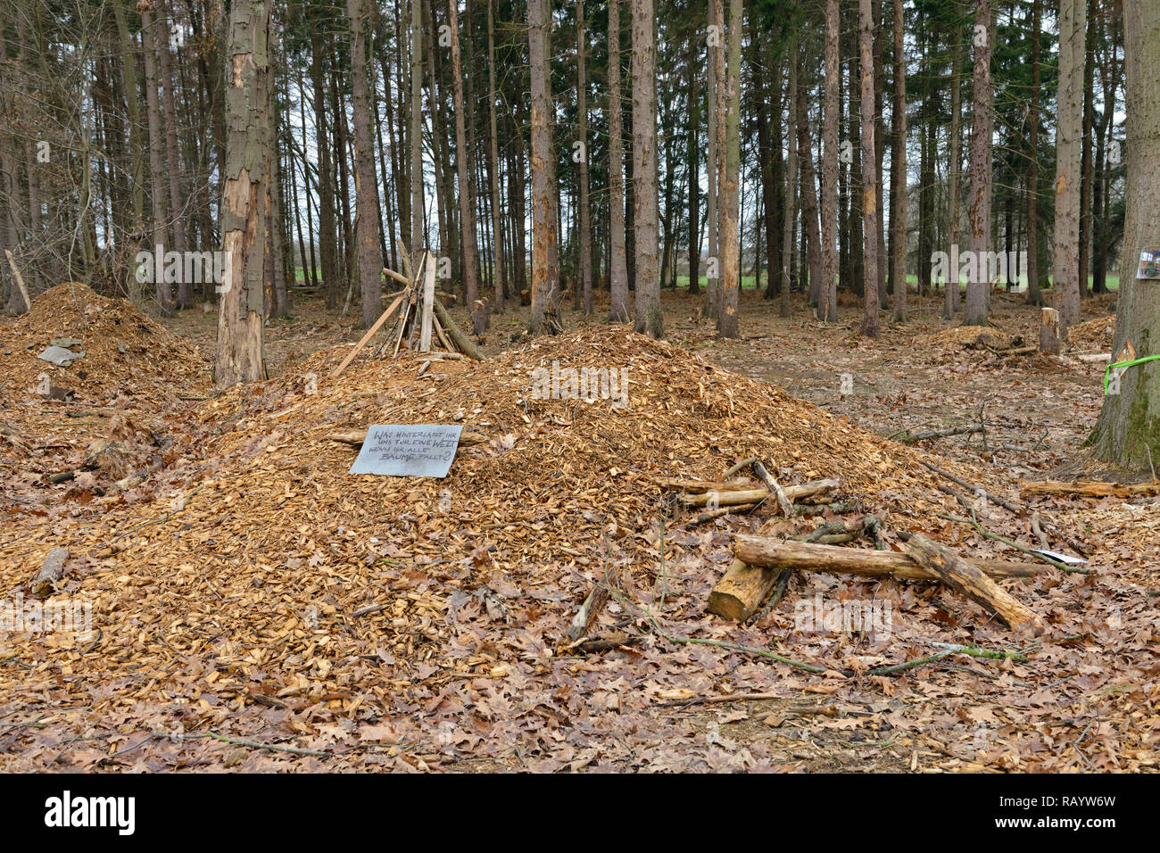 Denkmal für die ersten Aktionen des Clearing der Hambacher Forst, einem alten natürlichen Wald, der im Kampf gegen die globale Erwärmung beliebt wird. Stockfoto