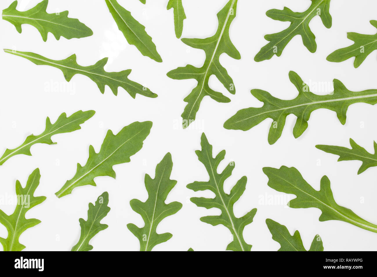 Makro Draufsicht Bild von frischen grünen Blätter der italienische Rucola auf weiße Platte isoliert. Rucola Salat. Organische gesunde Diät essen. Horizontale Farbe Foto Stockfoto