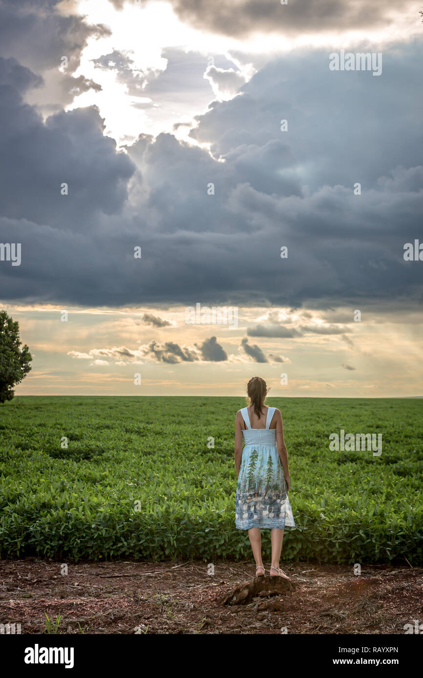 Frau bewundern Sie den Sonnenuntergang über eine riesige Sojabohnenernte in Brasilien Stockfoto