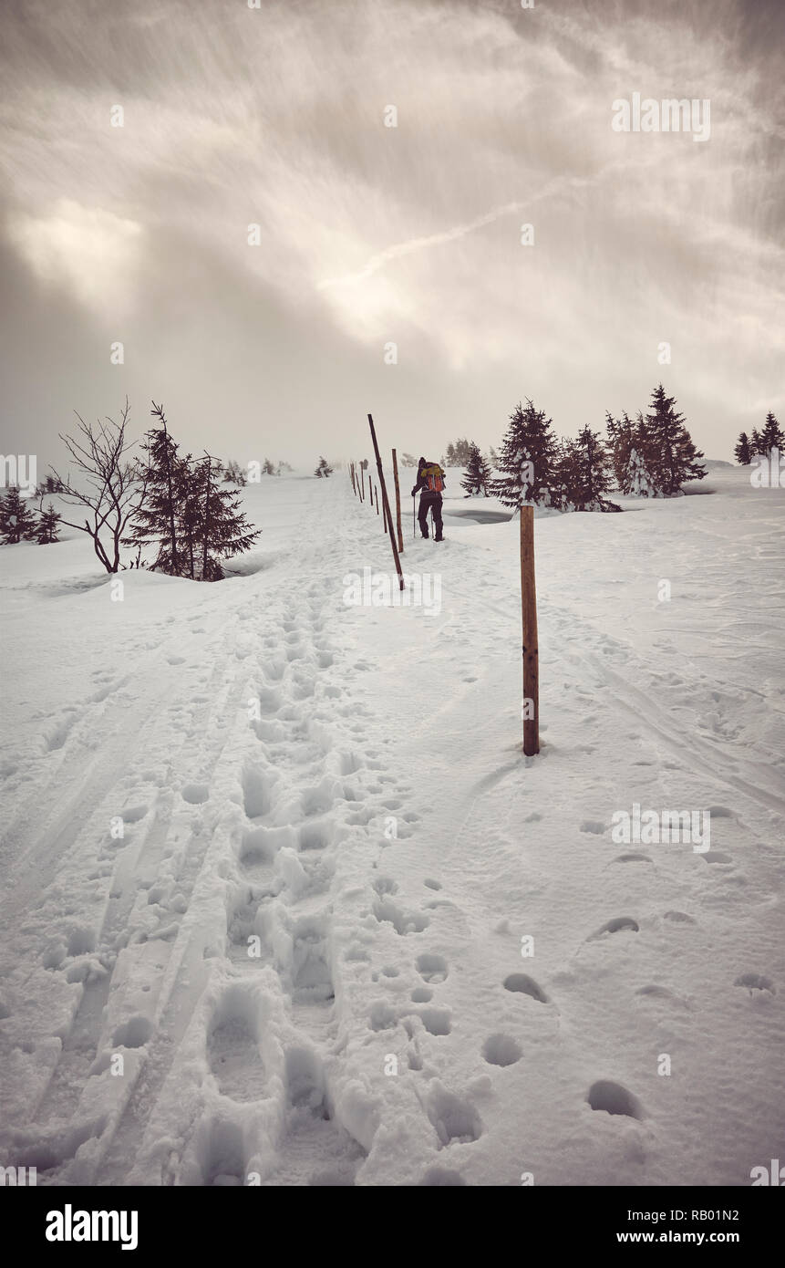 Winter Bergkulisse bei einem Blizzard, Farbe Tonen angewendet, Riesengebirge, Polen. Stockfoto