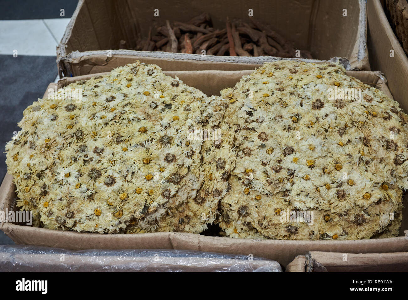 Chrysantheme Kuchen Stockfoto