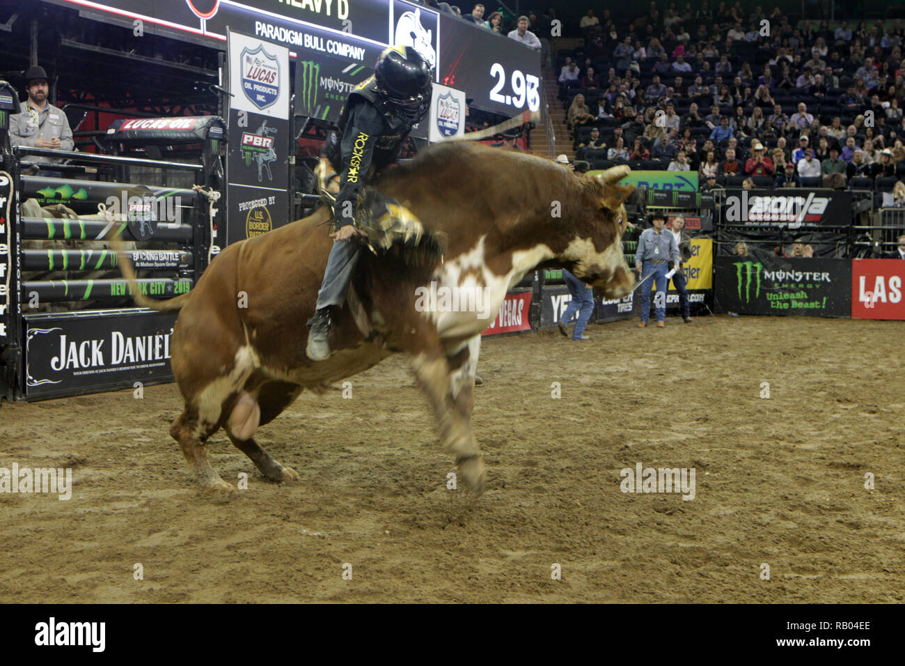 New York, New York, USA. Am 4. Januar, 2019. Professional Bull Riders und New Yorker und Touristen besuchen die 2019 Monster Energy Dollar Weg im Garten, von Nieuw product im Madison Square Garden statt am 4. Januar 2019 in New York City präsentiert. Quelle: MPI 43/Media Punch/Alamy leben Nachrichten Stockfoto