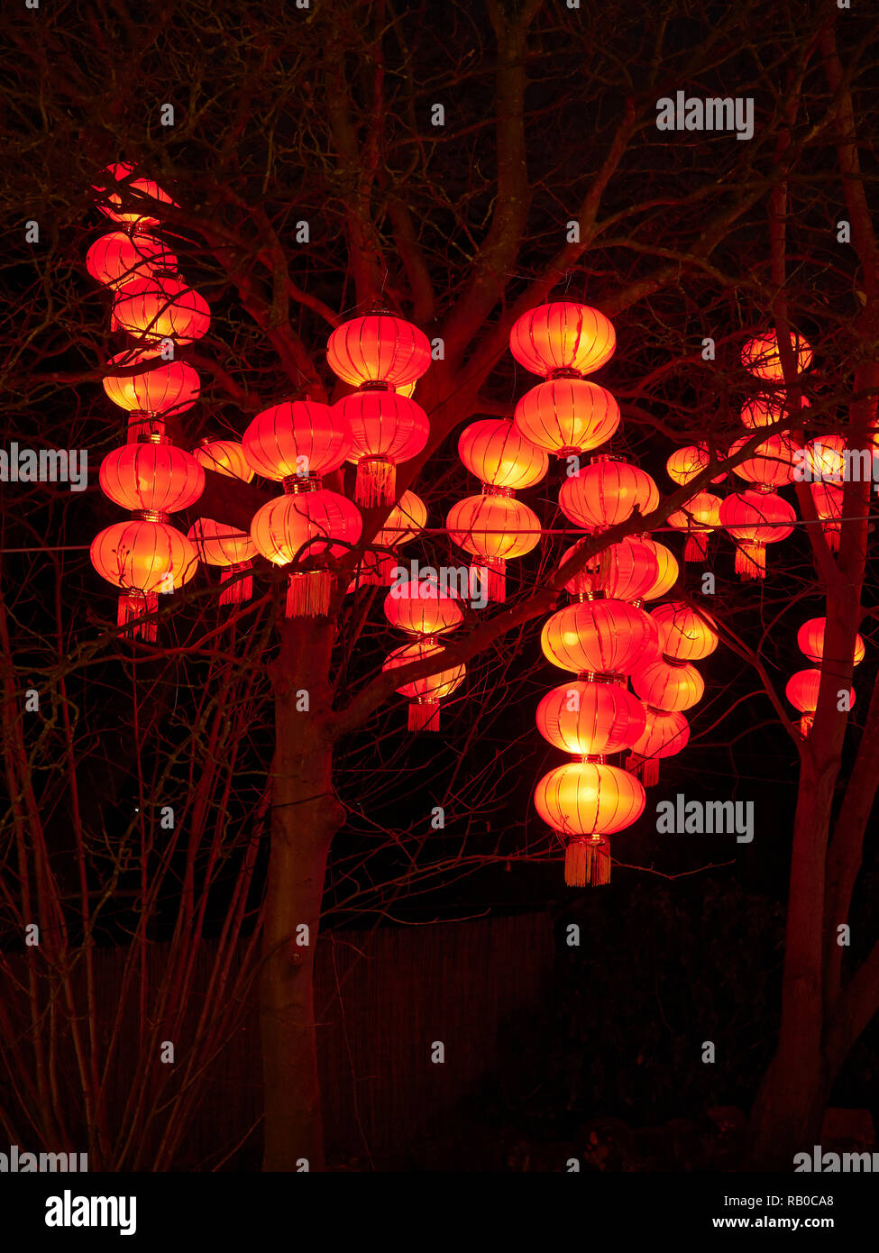Zoo von Edinburgh, Edinburgh, Schottland, Großbritannien, 5. Januar 2019, den riesigen Laternen von China Anzeige von Fabelwesen, Legenden und Tiere im Zoo im Januar 2019. Chinesische Laternen in den Bäumen. Stockfoto