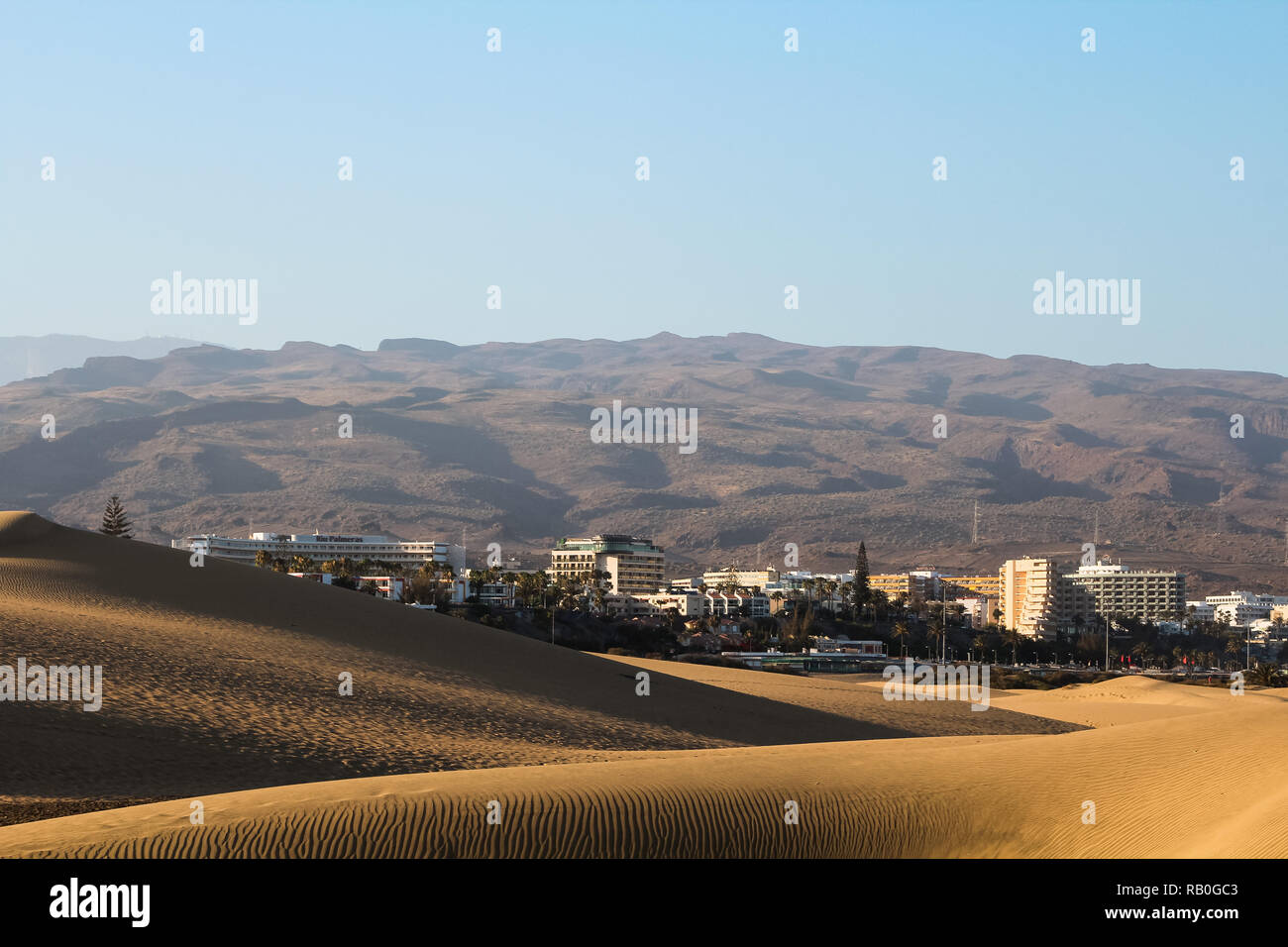 Lange Schatten auf Sanddünen in der Wüste vor Palmen und eine riesige Bergkette bei Sonnenuntergang (Dunas de Maspalomas, Gran Canaria, Spanien, Europa) Stockfoto