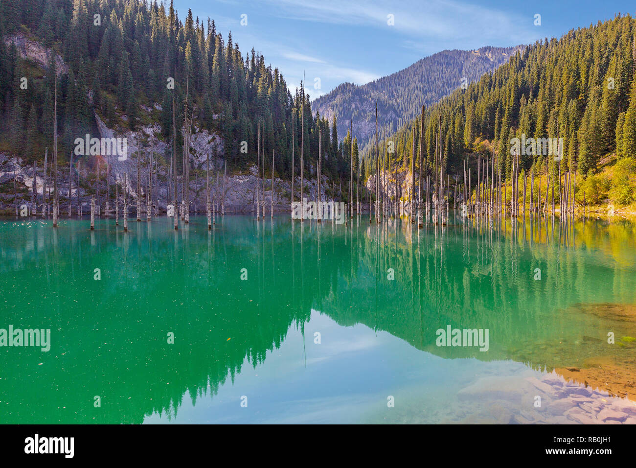 Lake Kaindy in Kasachstan auch als Birke See oder Unterwasser Wald bekannt, mit Baumstämmen aus dem Wasser. Stockfoto