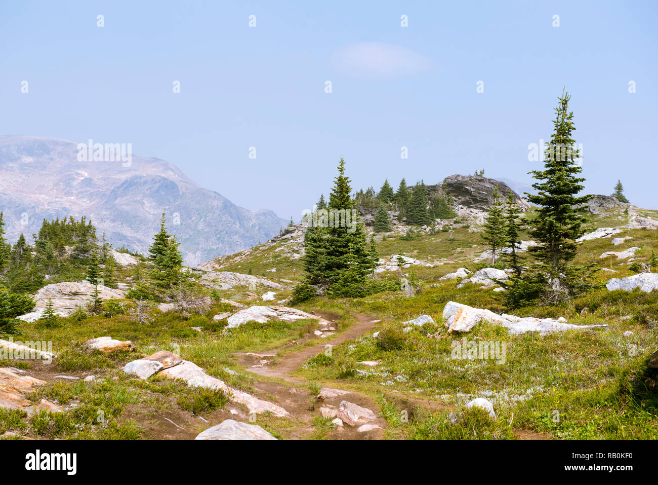 Sommer Alpine Wiesen an der Spitze der Trophy Mountain im Wells Gray Provincial Park, British Columbia, Kanada Stockfoto